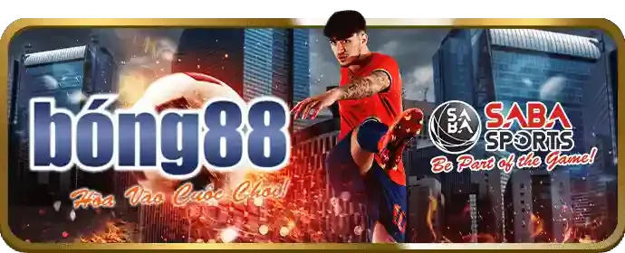 Hình ảnh chương trình VIP